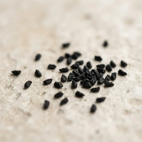 Ägyptischer Schwarzkümmel – Samen